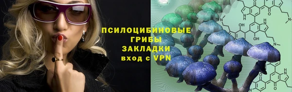 стафф Абаза