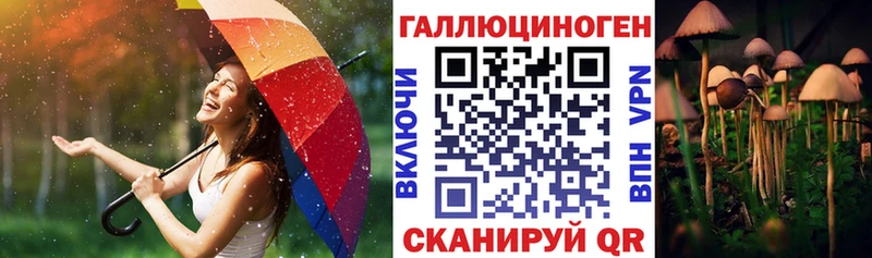 Галлюциногенные грибы Psilocybe Советск